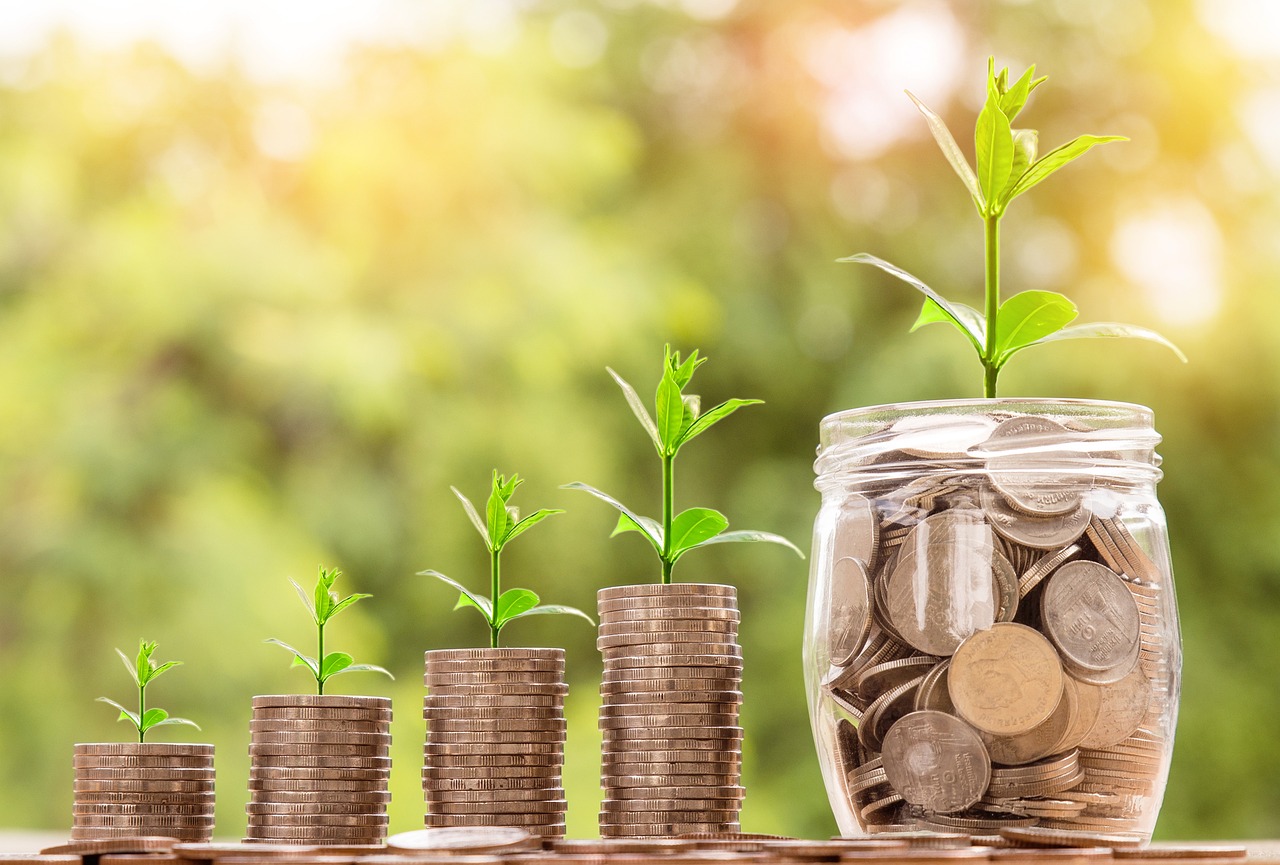 gestion del crecimiento vertical en las empresas